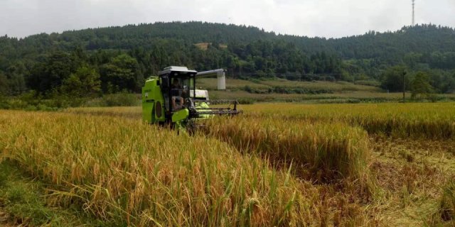 中联谷王PL50水稻收割机
