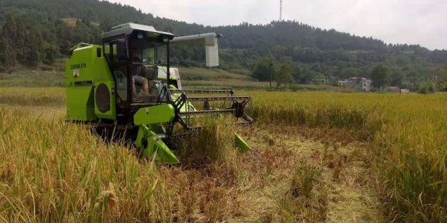 中联谷王PL50水稻收割机