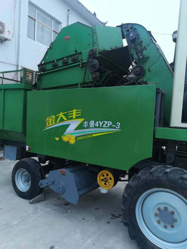 金大丰4YZP-3玉米收