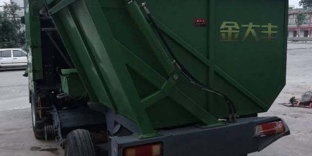金大丰4YZP-3玉米收