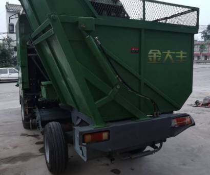 金大丰4YZP-3玉米收