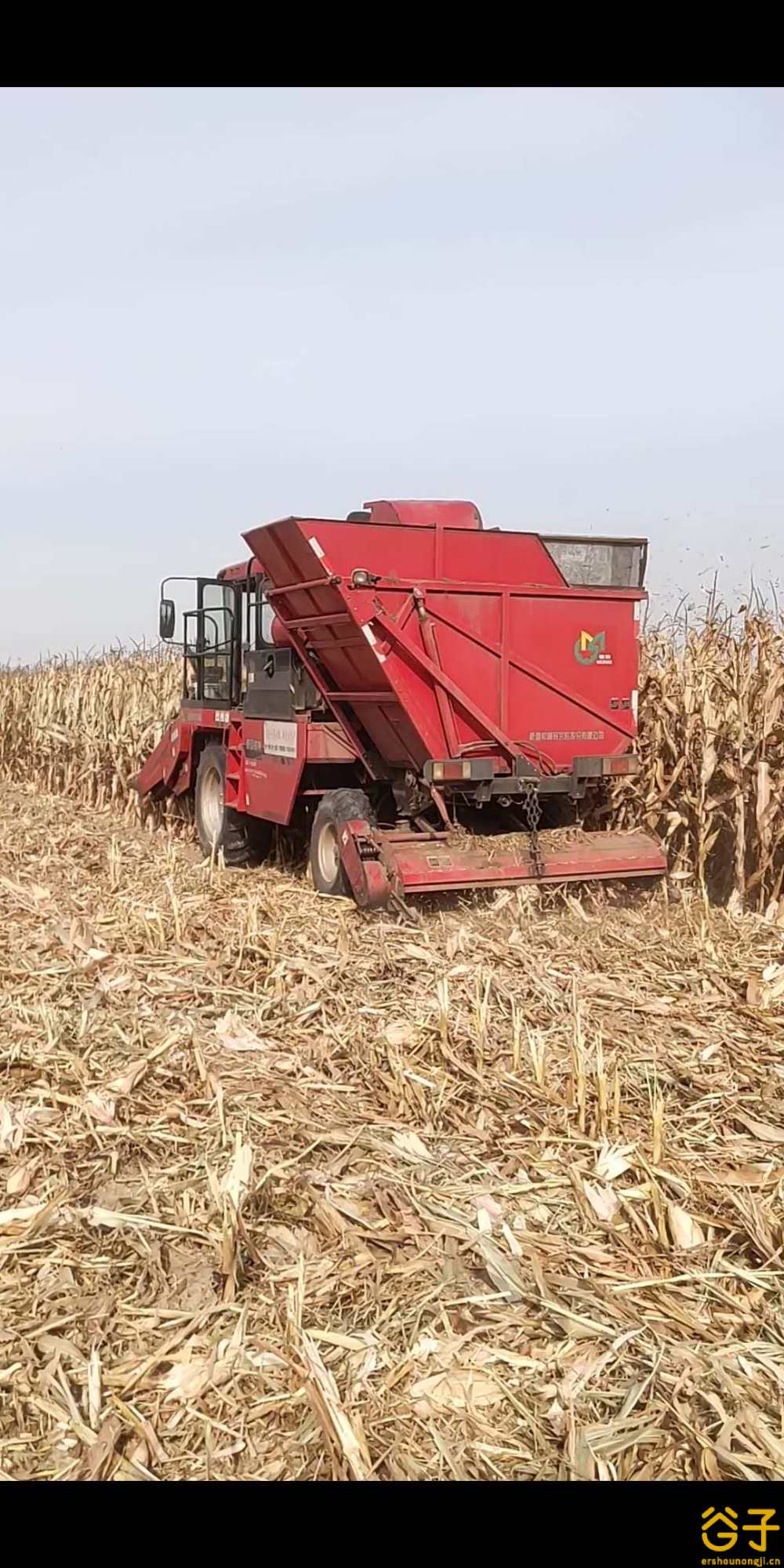 2021款牧神玉米收割机图片