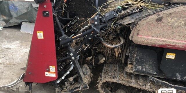 洋马AG600A半喂入收割机