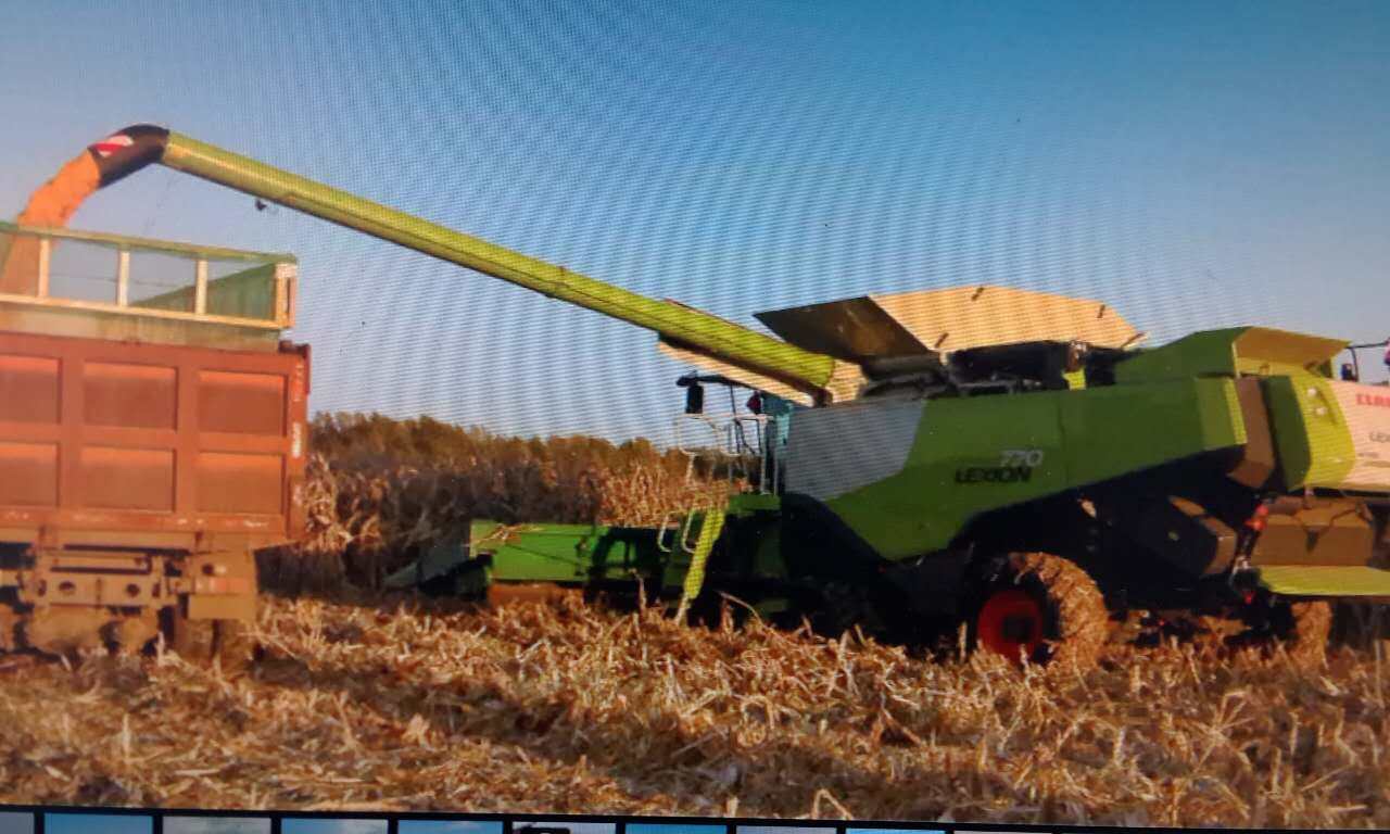 出售2014年克拉斯lexion 770联合收割机