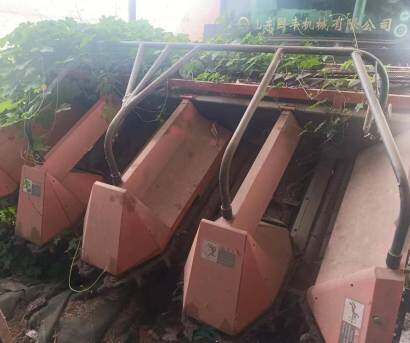國豐4行玉米收獲機