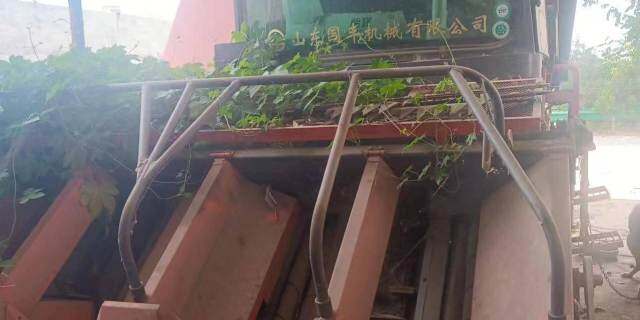 国丰4行玉米收获机