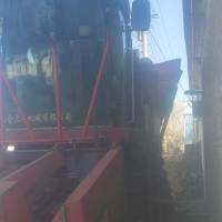 金大丰四行玉米收割机