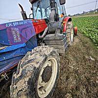 沃得WF1604-2拖拉机