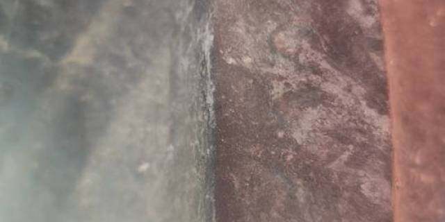 雷沃谷神4YJ-4FR4型玉米茎穗兼收收割机