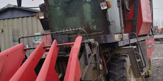 金大丰4YZPSJ-3C穗茎兼收玉米收获机