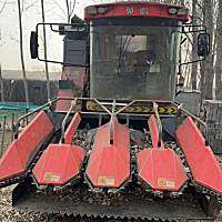 英虎4YZJ-4玉米收获机