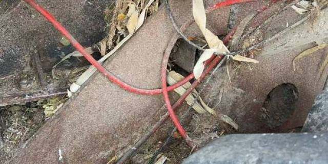 英虎4YZJ-4玉米收获机