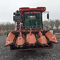 国丰金麒麟4YZQP-4型玉米茎穗兼收收割机