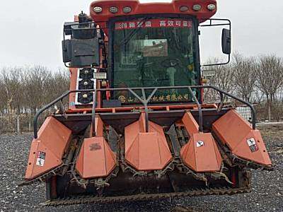 国丰金麒麟4YZQP-4型玉米茎穗兼收收割机