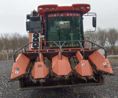 国丰金麒麟4YZQP-4型玉米茎穗兼收收割机