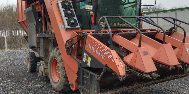国丰金麒麟4YZQP-4型玉米茎穗兼收收割机