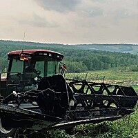 麦克唐（MacDon）205 进口割晒机