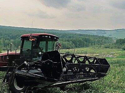 麦克唐（MacDon）205 进口割晒机