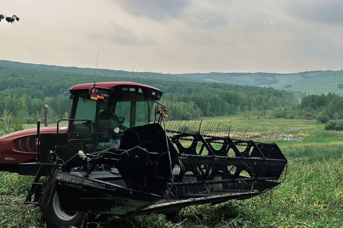 麦克唐（MacDon）205 进口割晒机