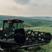 麦克唐(MacDon)205 进口割晒机