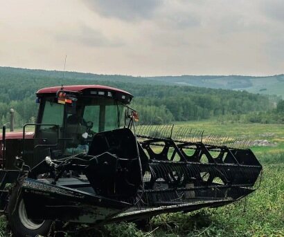 麦克唐(MacDon)205 进口割晒机