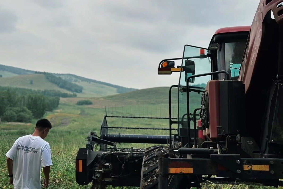 麦克唐（MacDon）205 进口割晒机