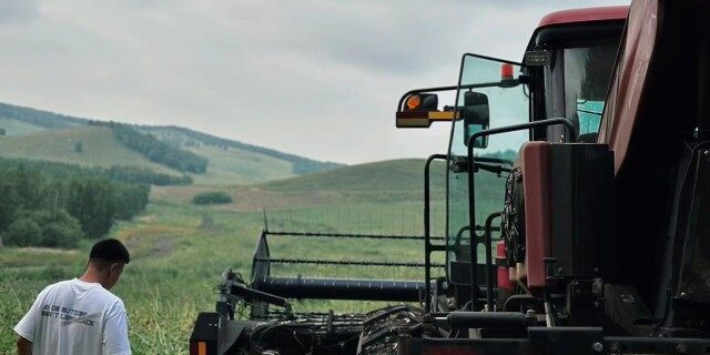 麦克唐（MacDon）205 进口割晒机