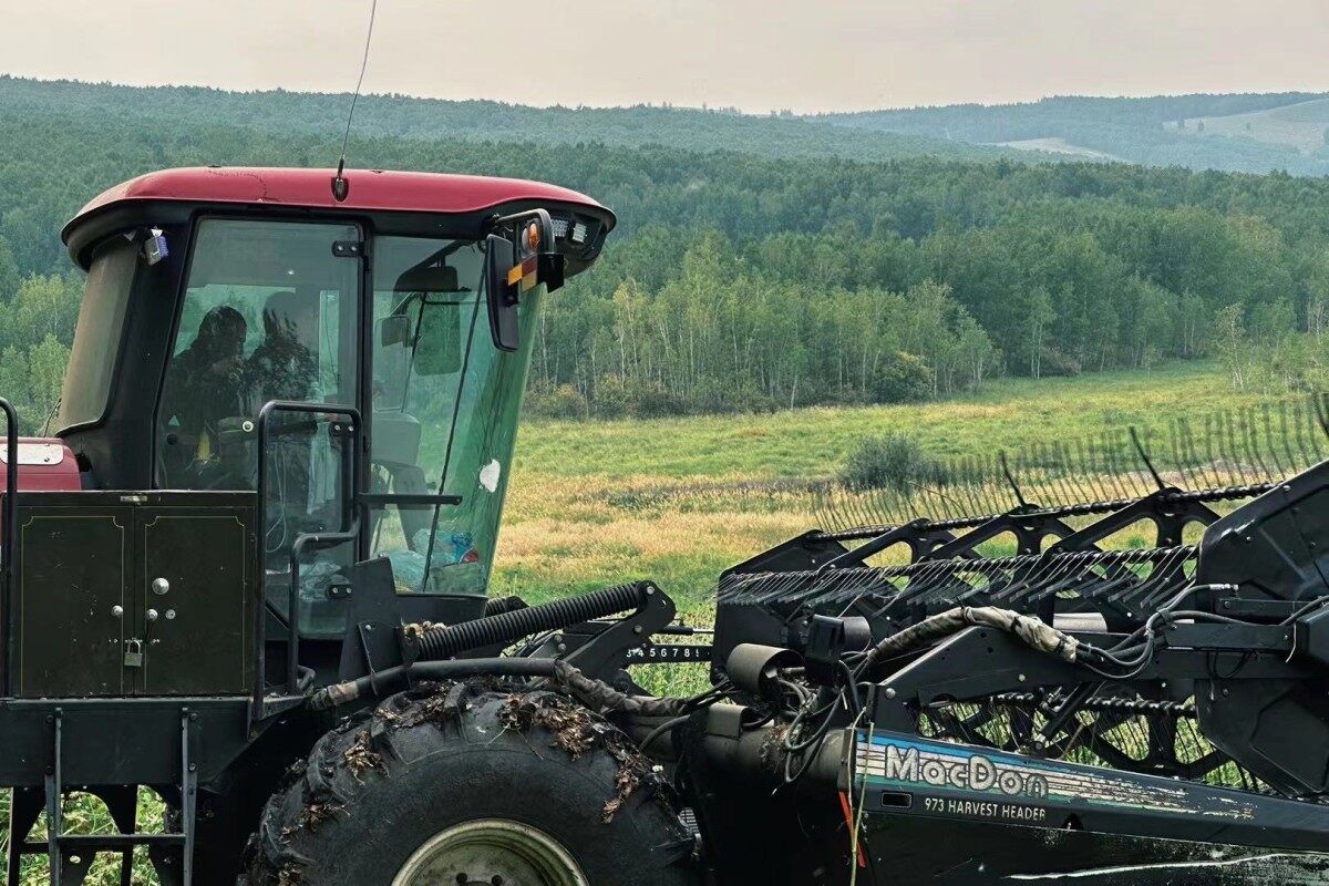 麦克唐（MacDon）205 进口割晒机