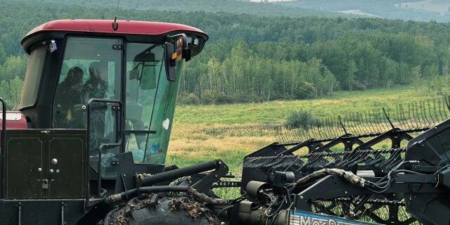 麦克唐（MacDon）205 进口割晒机